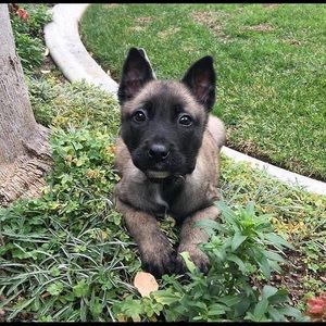 Meet your Posher, Chris